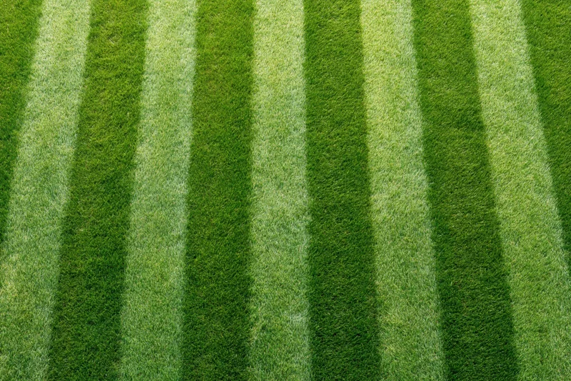 Freshly mowed grass with alternating green and light stripes on a soccer field