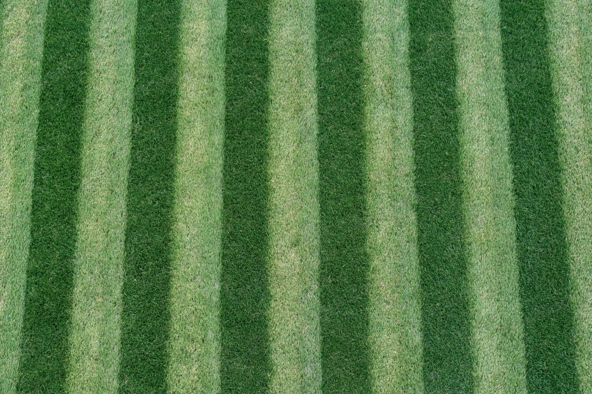 Striped grass pattern on a mowed soccer field viewed from above