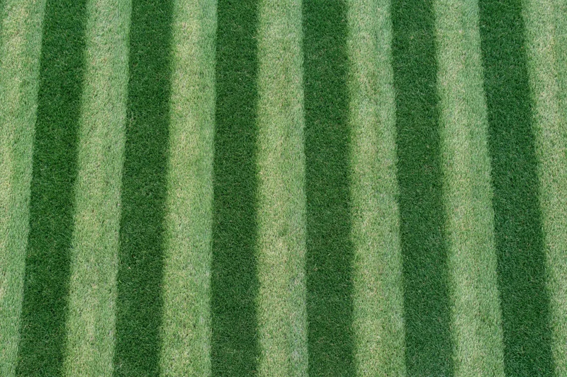 Striped grass pattern on a mowed soccer field viewed from above