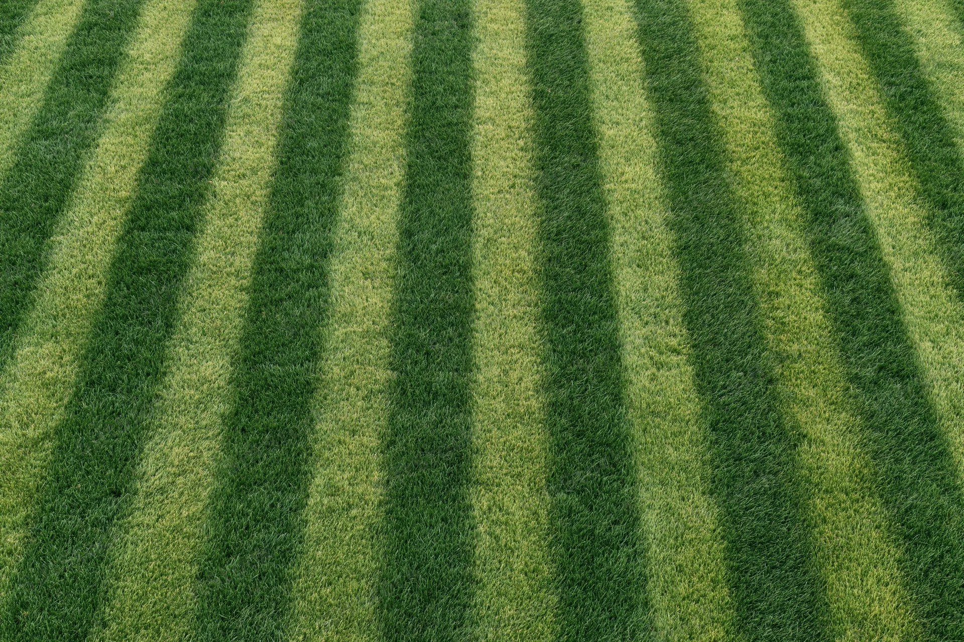 Striped grass pattern on a soccer field viewed from directly overhead
