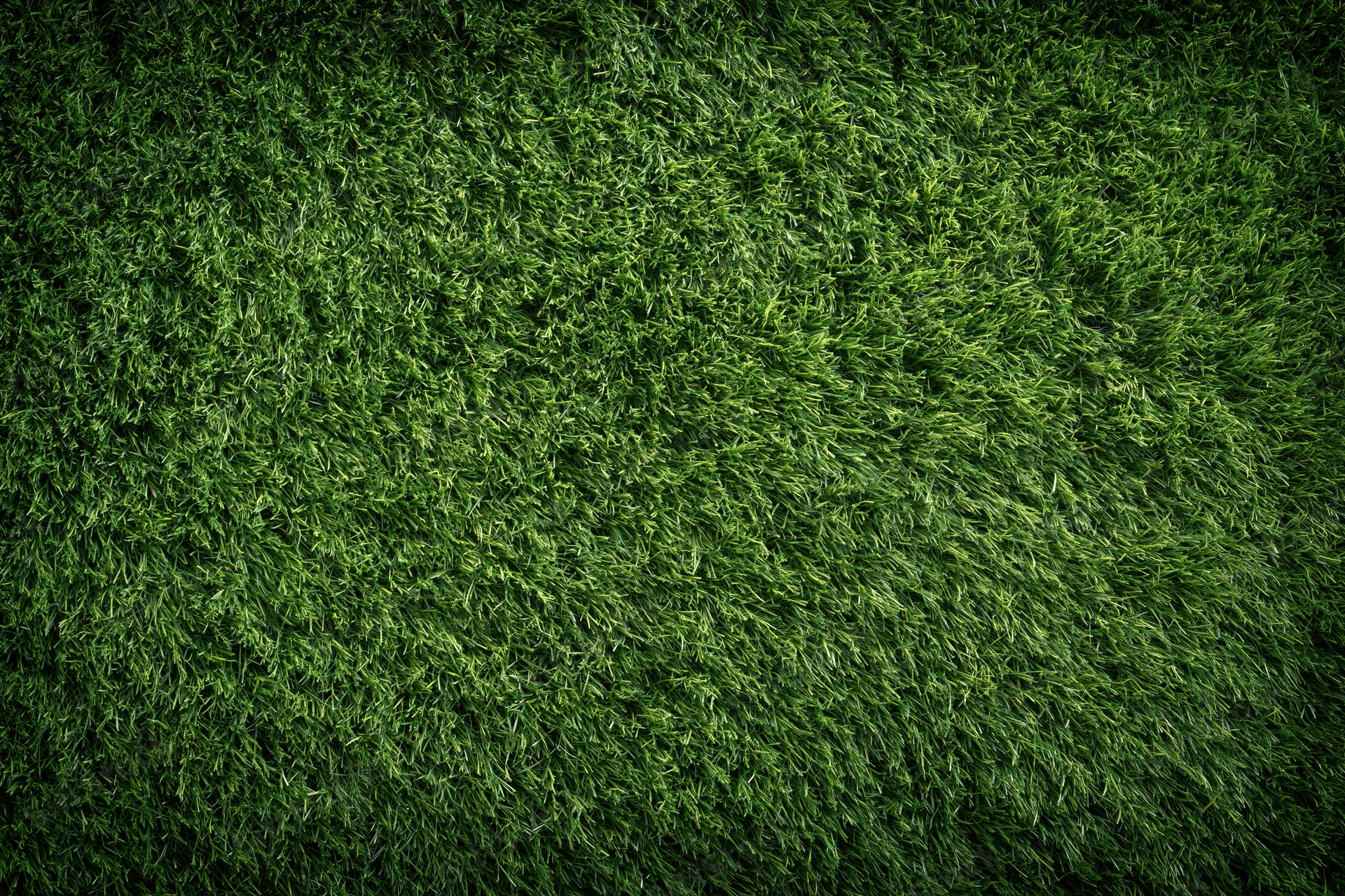 Freshly mowed grass on a sports field viewed from directly above