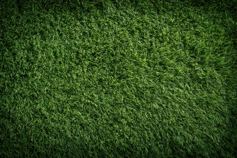 Freshly mowed grass on a sports field viewed from directly above