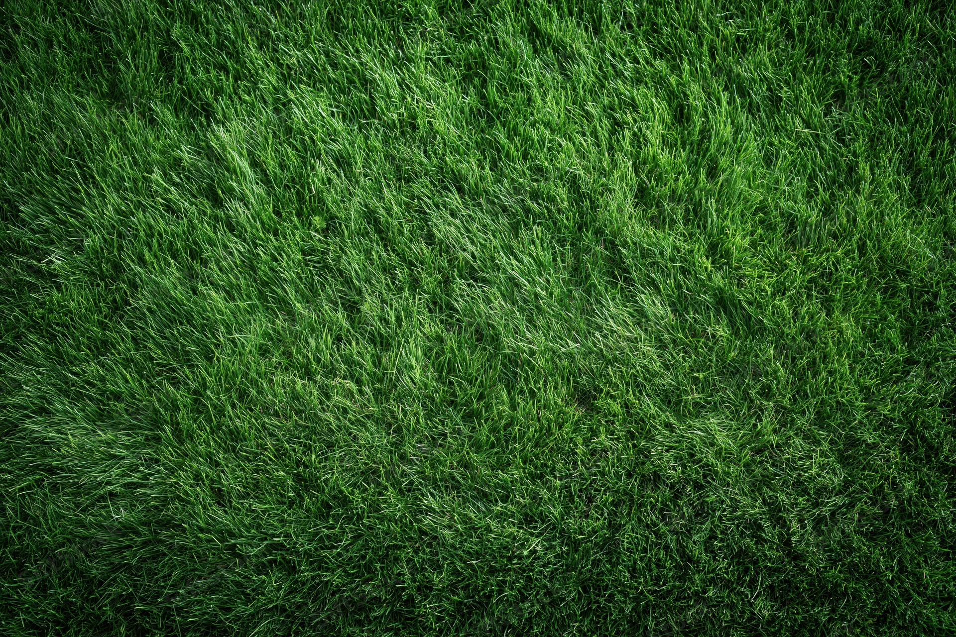 Freshly mowed grass on a sports field viewed from directly above