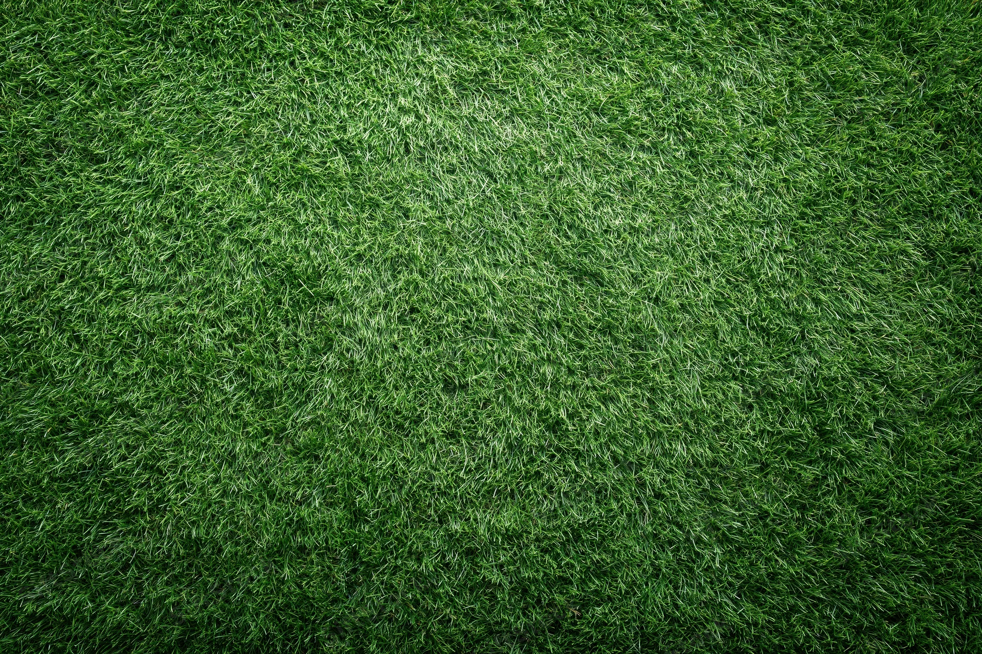 Freshly mowed grass on a sports field viewed from directly above