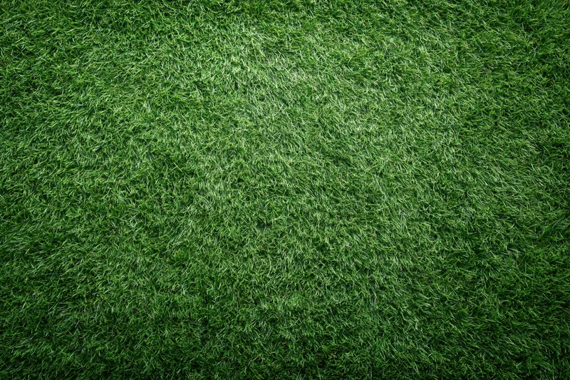 Freshly mowed sports field grass photographed straight down