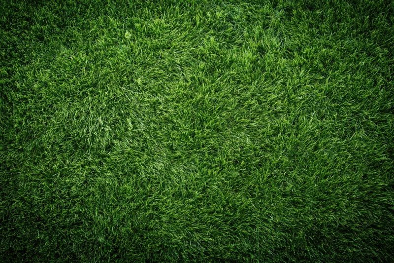 Freshly mowed grass viewed from directly above on a sports field