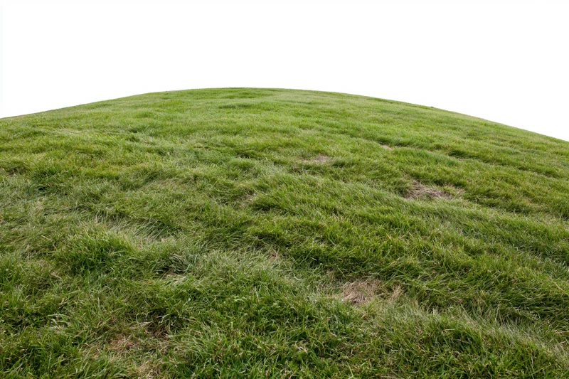 Gently curved mowed grass lawn rising to a rounded hilltop