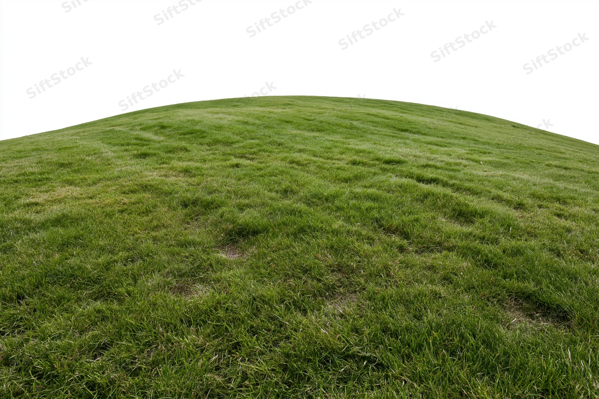 Gently curved mowed grass lawn rising to a rounded hilltop