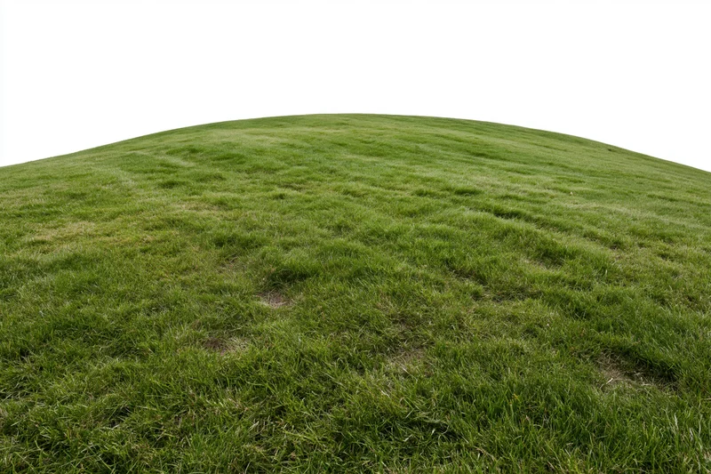 Gently curved mowed grass lawn rising to a rounded hilltop