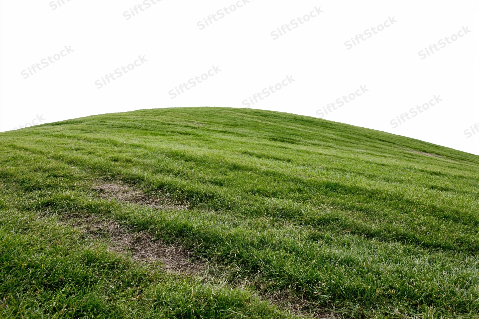 Gently curved mowed grass lawn rising to a rounded hilltop against a white background
