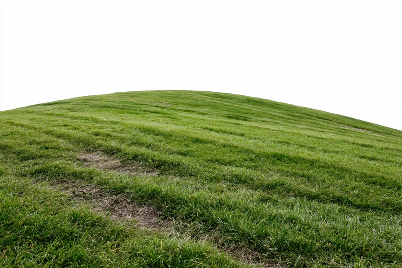 Gently curved mowed grass lawn rising to a rounded hilltop against a white background