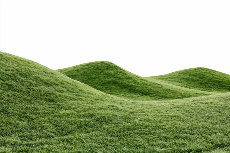 Gently rolling grass-covered hills filling the lower two-thirds of the frame against a white background
