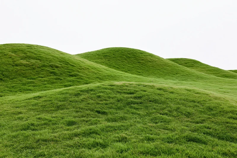 Gently rolling grass-covered hills filling the lower two-thirds of the frame under a bright sky