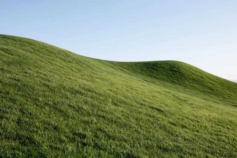 Gently rolling grass-covered hills under a clear blue sky in a wide rural landscape