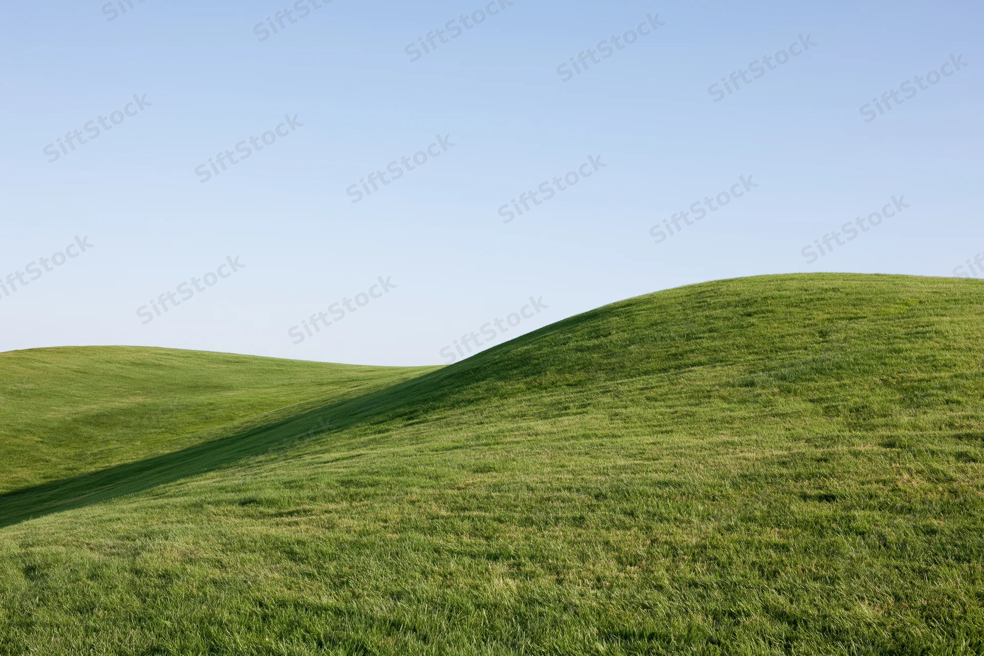 Gently rolling grass-covered hills under a clear blue sky in an open rural landscape