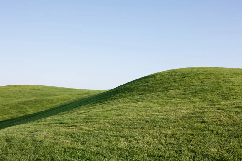 Gently rolling grass-covered hills under a clear blue sky in an open rural landscape