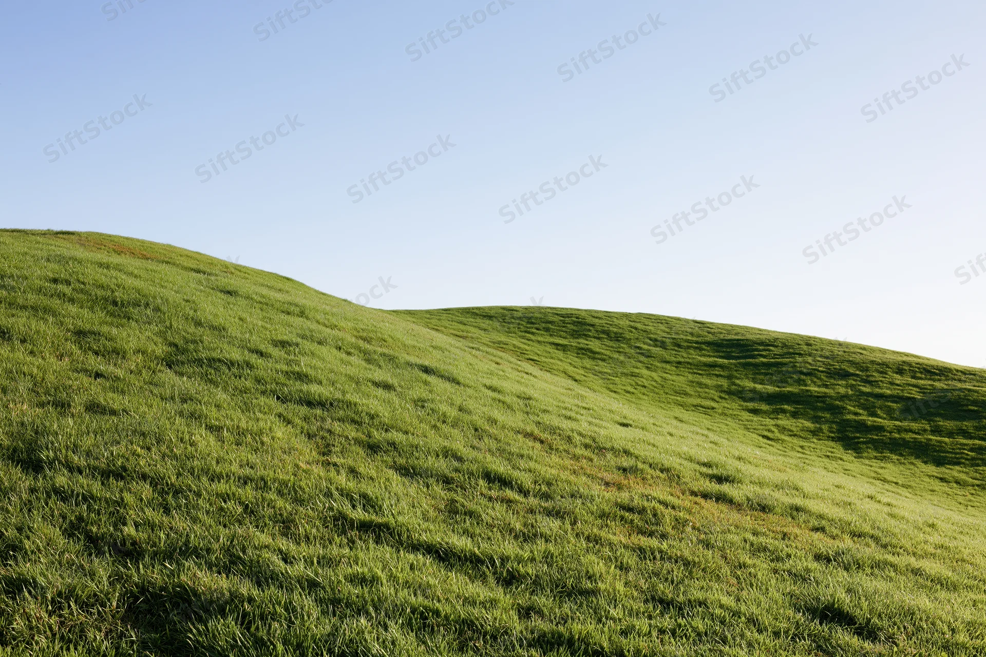 Gently rolling grass-covered hills under a clear blue sky in a rural landscape