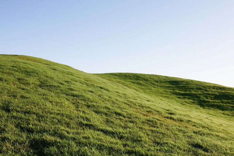 Gently rolling grass-covered hills under a clear blue sky in a rural landscape