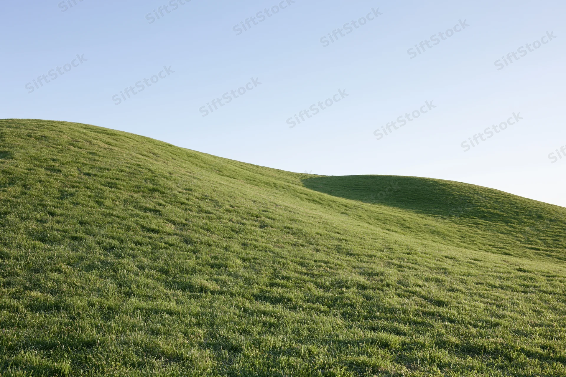 Gently rolling grass-covered hills under a clear blue sky in a wide rural landscape