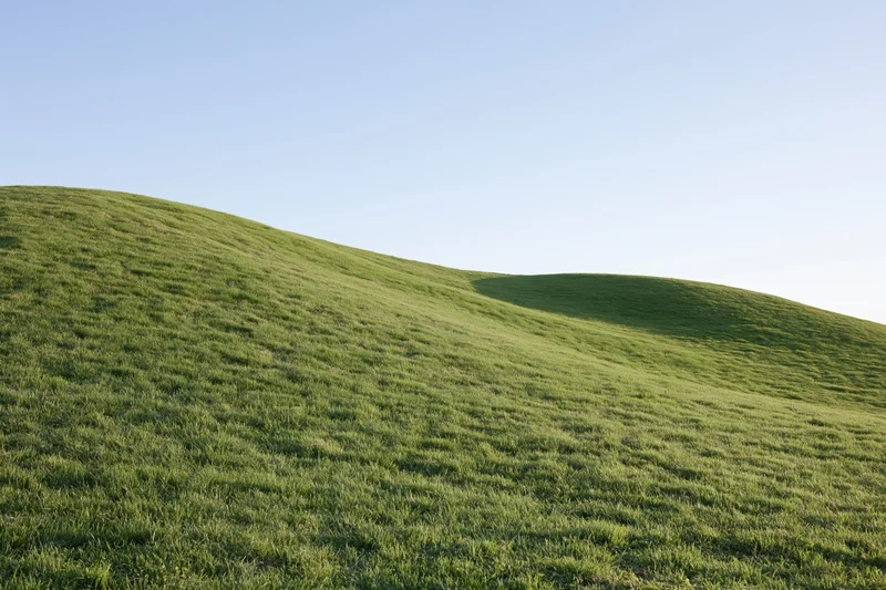 Gently rolling grass-covered hills under a clear blue sky in a wide rural landscape