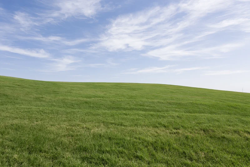 Gently rolling grass hill covered in short even green turf under a blue sky with wispy clouds