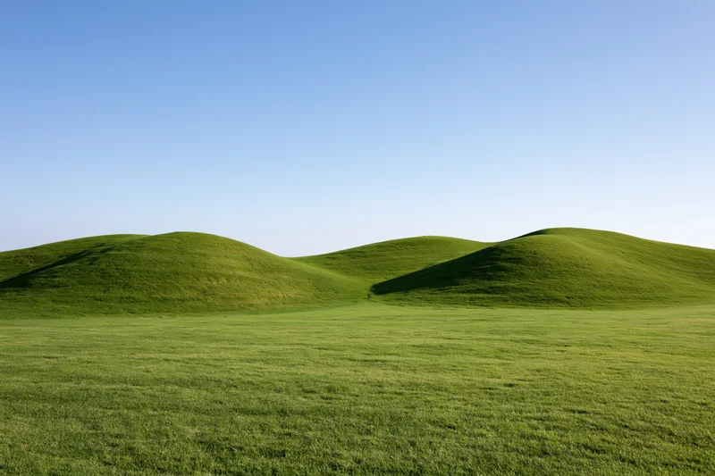 Gently rolling green grass hills under a wide open clear sky