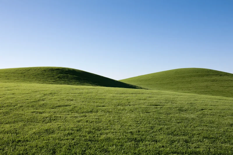 Gently rolling green grass hills under a wide open clear sky