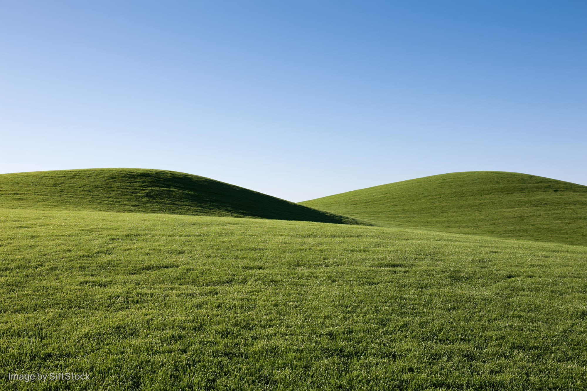 Gently rolling green grass hills under a wide open clear sky