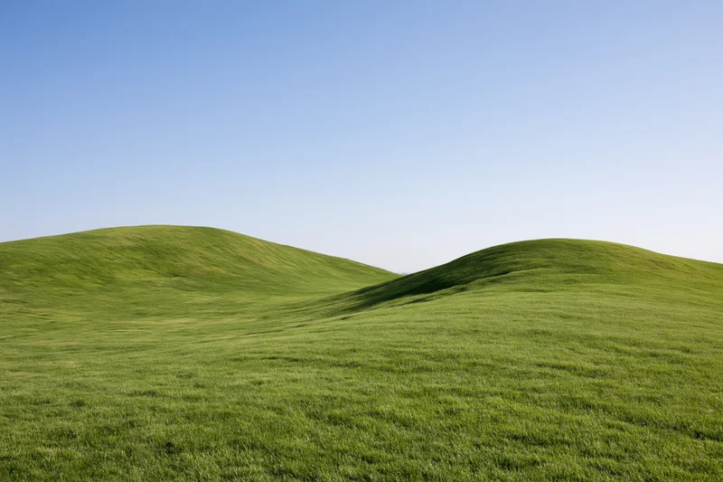 Gently rolling green grass hills under a wide open clear sky