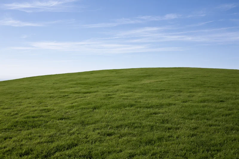 Gently sloping green grass hill stretching to the horizon under a clear blue sky