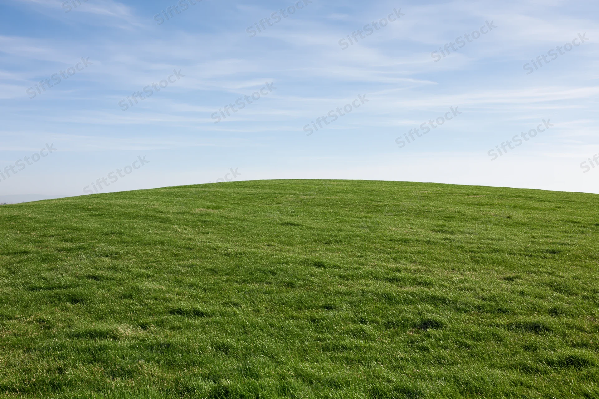 Gently sloping green grass hill stretching to the horizon under a clear blue sky