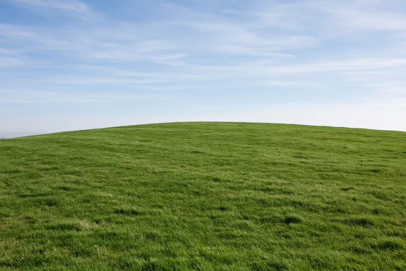 Gently sloping green grass hill stretching to the horizon under a clear blue sky