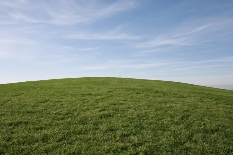 Gently sloping green grass hill stretching to the horizon under a clear blue sky with wispy clouds