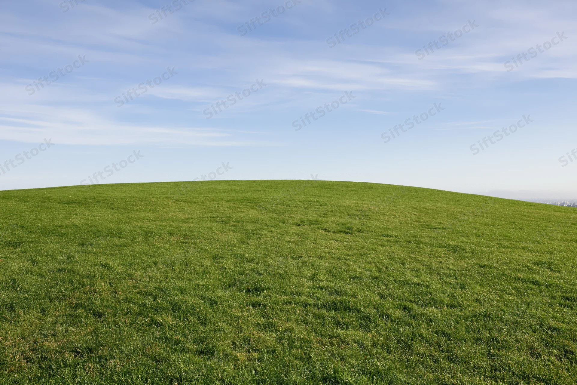 Gently sloping green grass hill stretching to the horizon under a clear blue sky