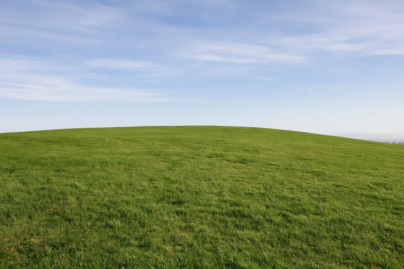 Gently sloping green grass hill stretching to the horizon under a clear blue sky