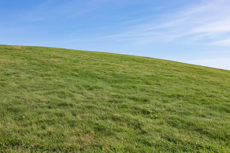 Gently sloping green grass hillside rising under a clear blue sky
