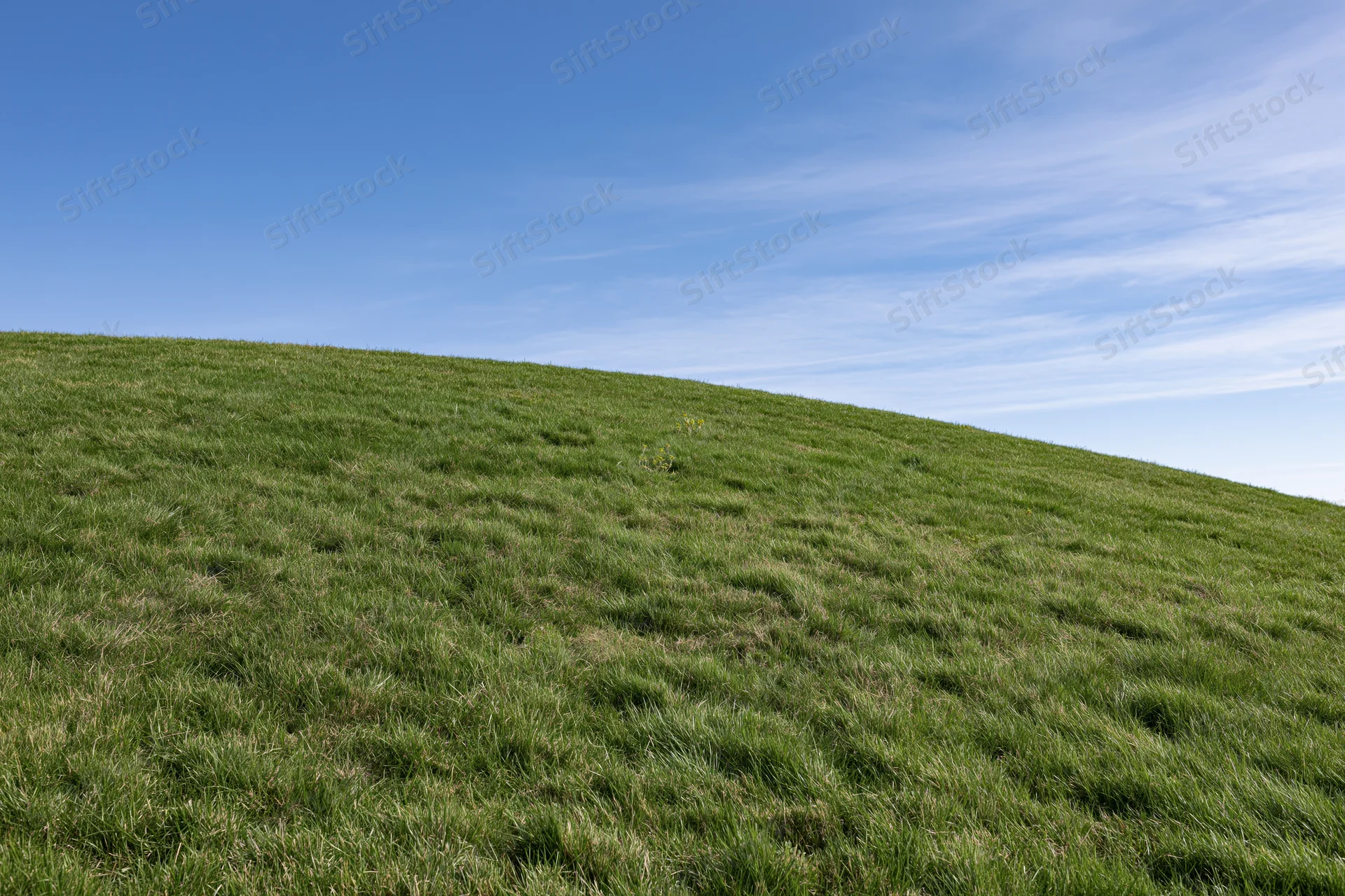 Gently sloping green grass hillside rising under a clear blue sky with wispy clouds