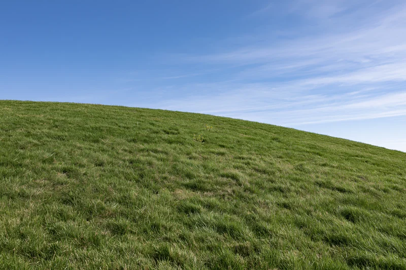 Gently sloping green grass hillside rising under a clear blue sky with wispy clouds