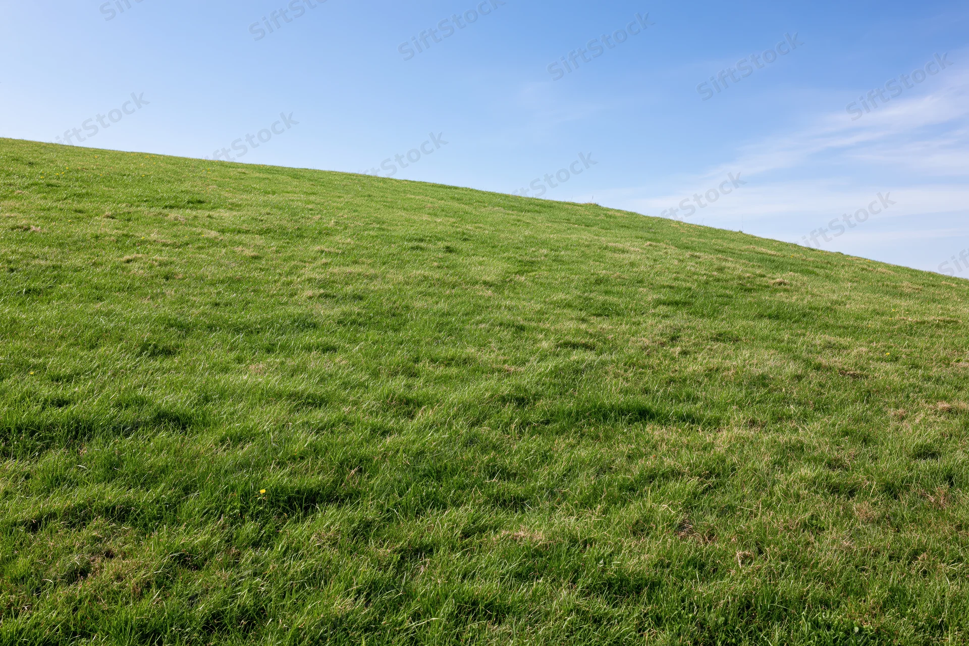 Gently sloping green grass hillside rising under a clear blue sky