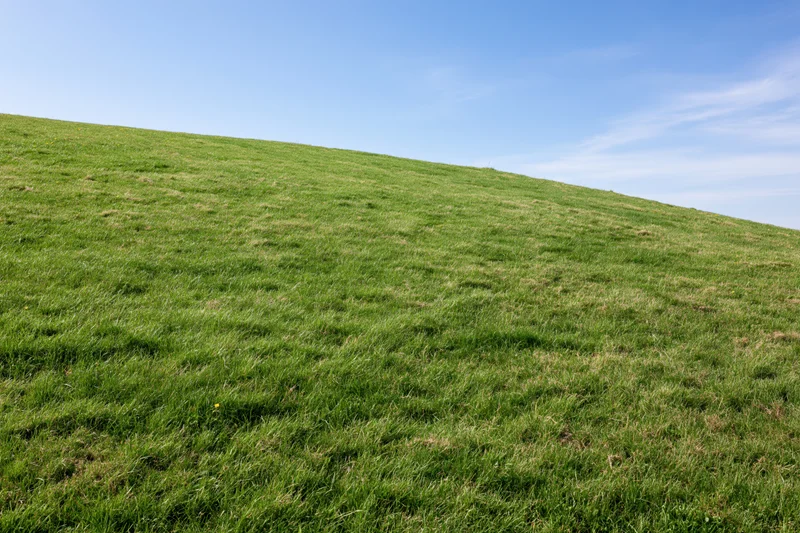 Gently sloping green grass hillside rising under a clear blue sky