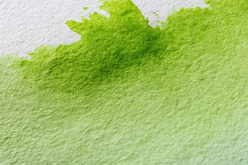 Green watercolor wash spreading across textured white paper