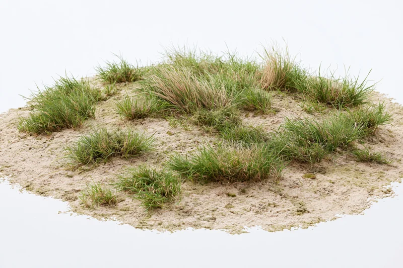 Sparse dry grass and bare sandy soil forming an isolated patch on a plain surface