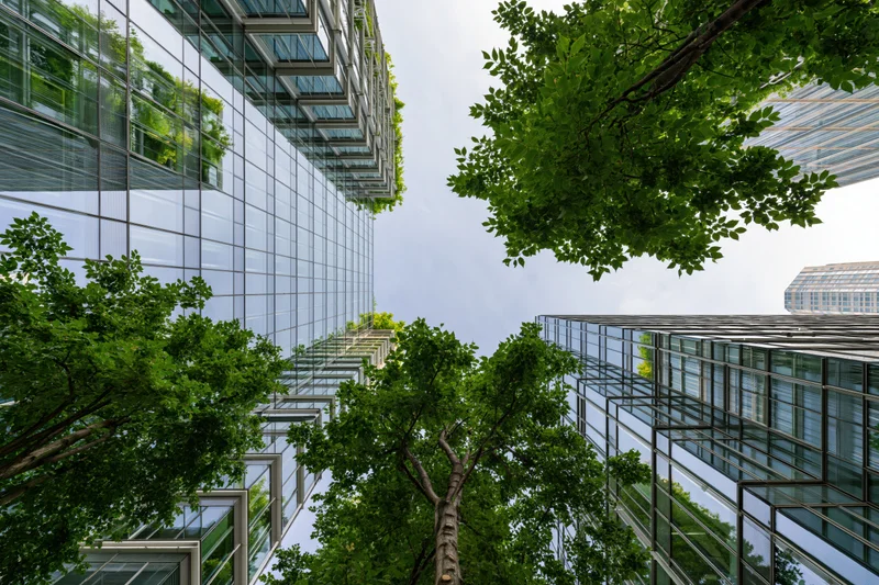 Modern glass office buildings with green trees growing between them, viewed from below toward the sky