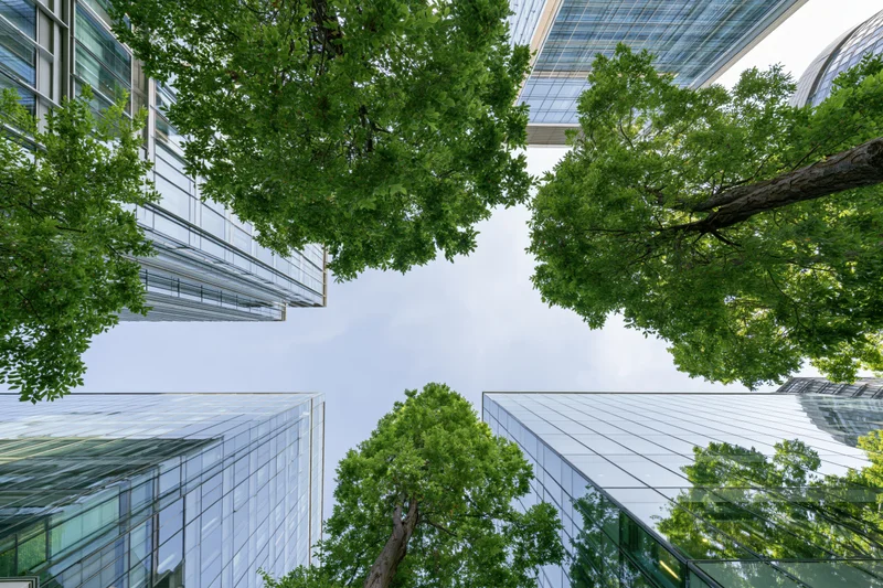 Upward view between modern glass curtain-wall office buildings with green trees framing the sky