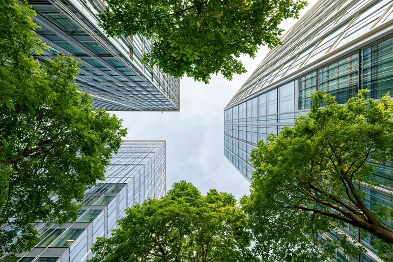 Upward view between modern glass curtain-wall office buildings framed by green trees under a blue sky
