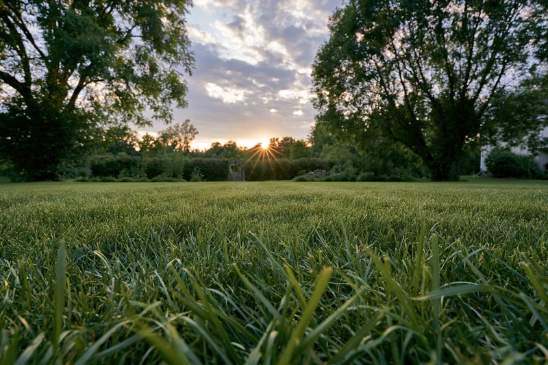 Freshly mowed lawn stretching toward a sunset horizon framed by trees and clouds