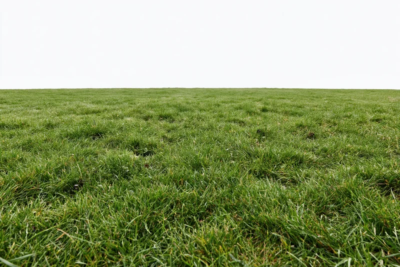 Neatly mowed grass field viewed from ground level in wide-angle shot