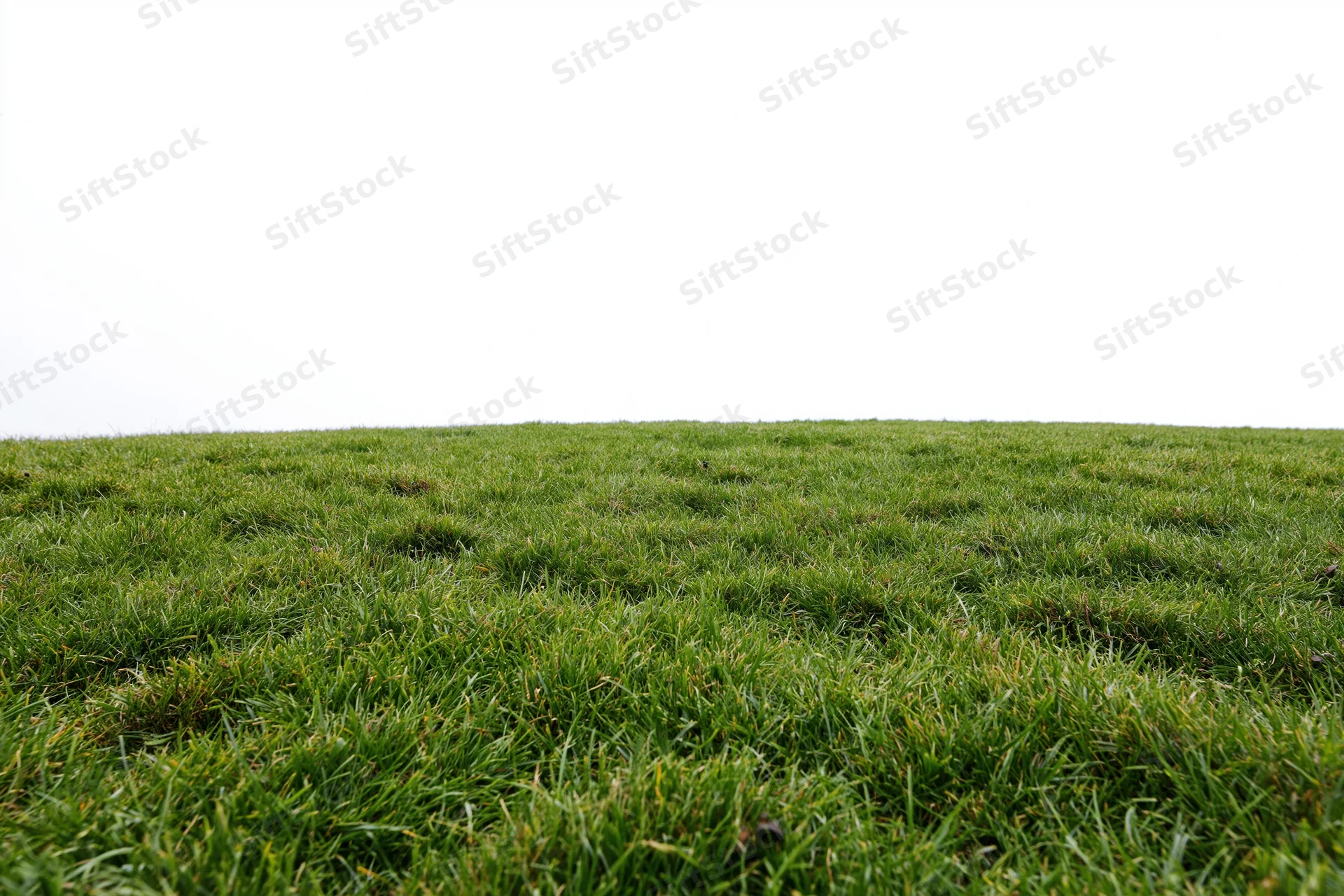 Neatly mowed grass field viewed from ground level in wide low-angle perspective