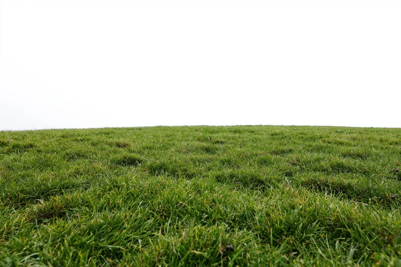 Neatly mowed grass field viewed from ground level in wide low-angle perspective