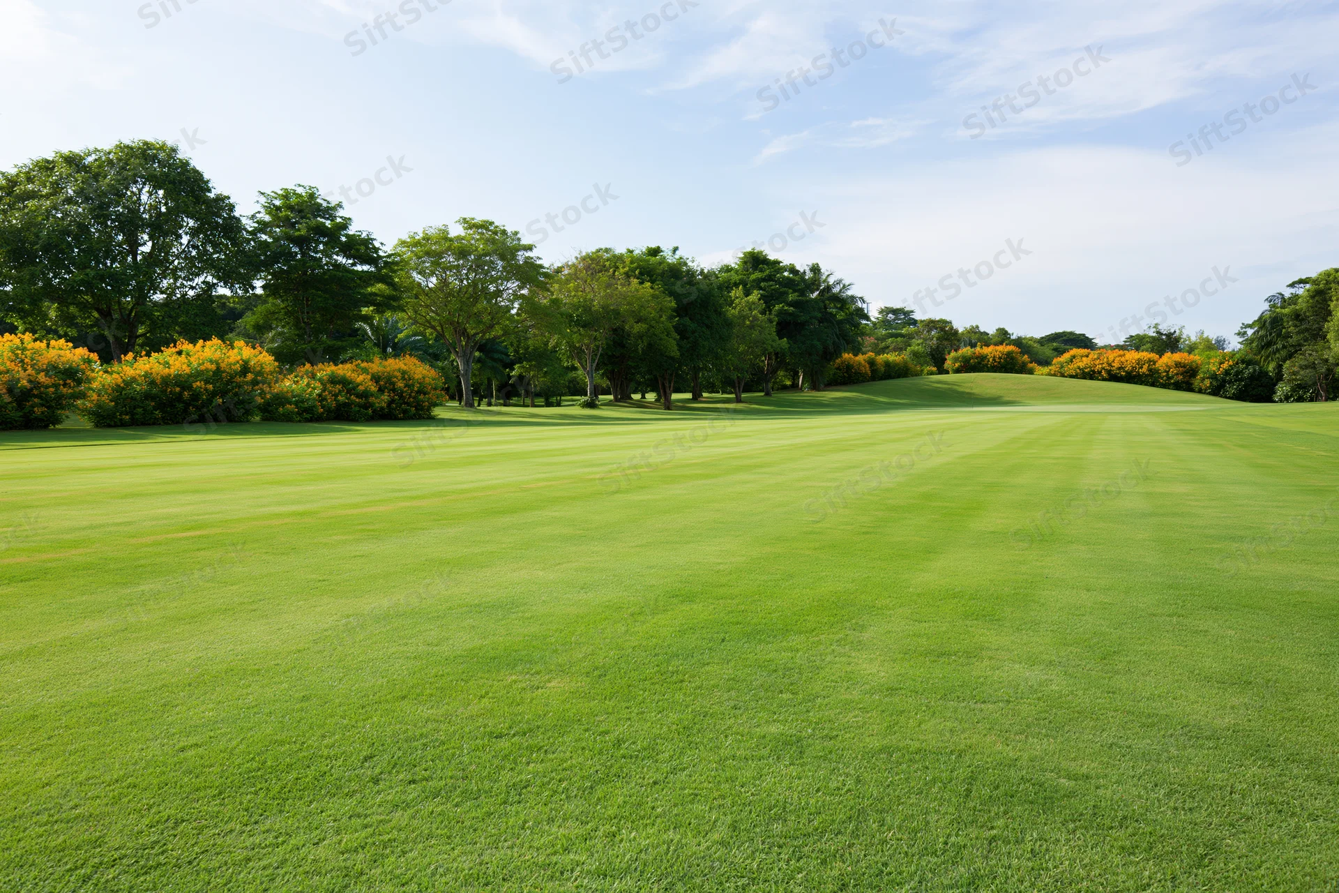 Manicured golf course fairway stretching toward a gentle rise lined with trees and flowering shrubs